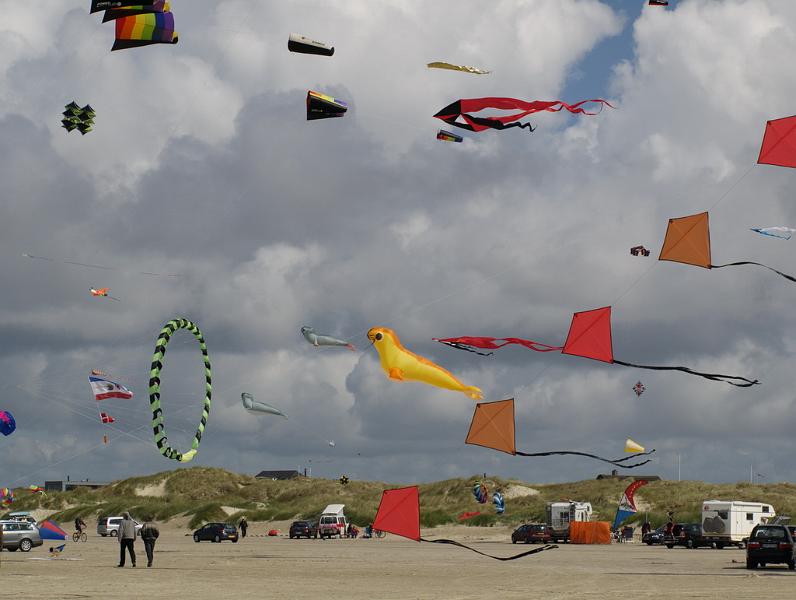 Fanø 2009 25.jpg